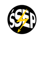 Zdawalność 99,9% - Gwarantowana satysfakcja